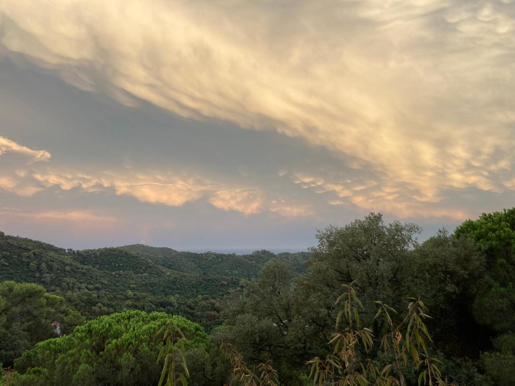 Casa Con Vista Y Jardin, A 20' De La Playa Villa Sant Cebrià de Vallalta Buitenkant foto