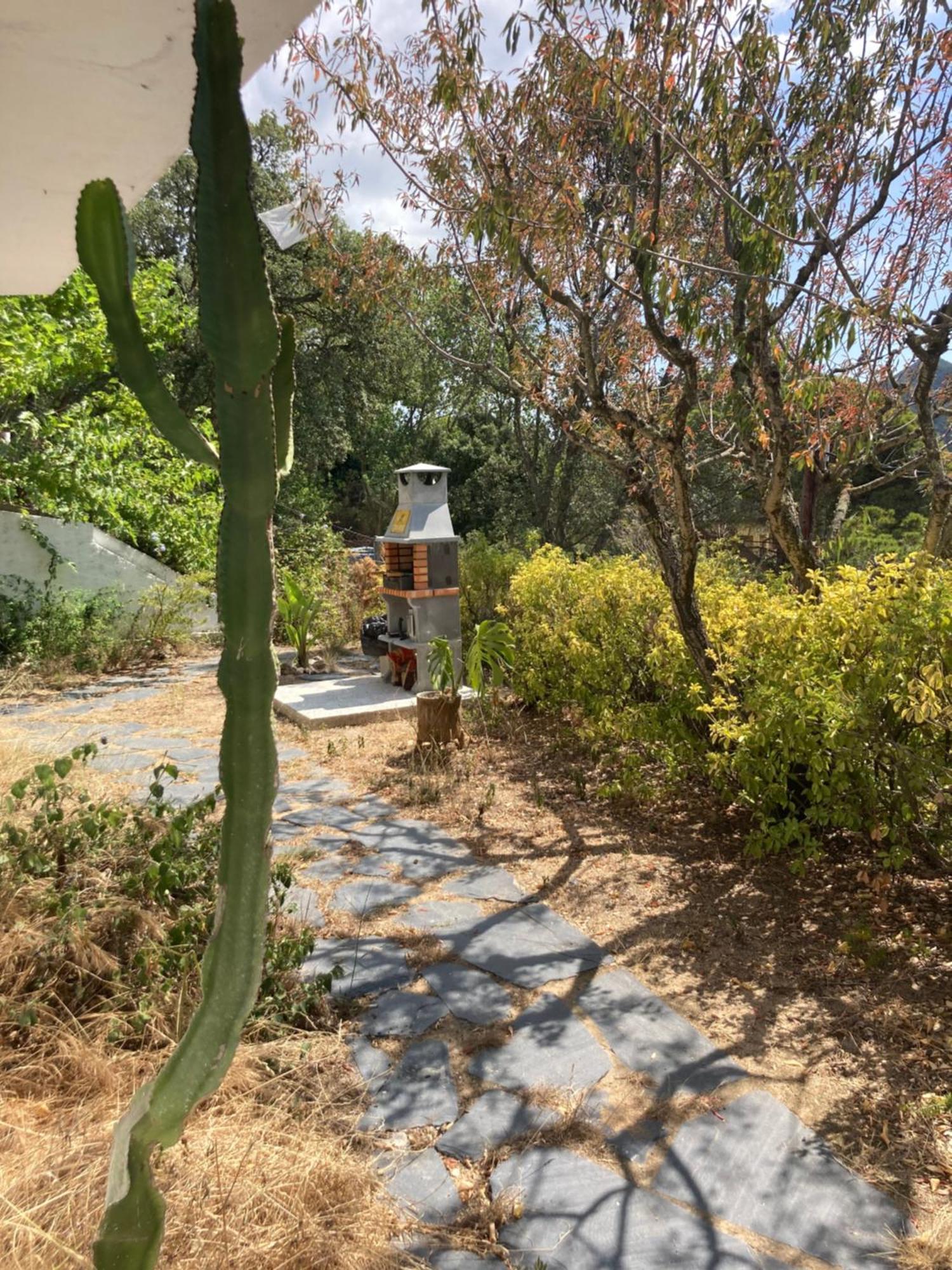 Casa Con Vista Y Jardin, A 20' De La Playa Villa Sant Cebrià de Vallalta Buitenkant foto